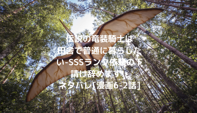 伝説の竜装騎士は田舎で普通に暮らしたい Sssランク依頼の下請け辞めます ネタバレ 漫画6 2話 男は黙って少年漫画